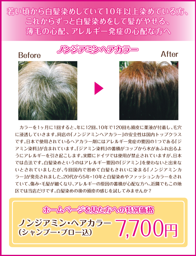 若い頃から白髪染めしていて10年以上染めている方、これからずっと白髪染めをして髪がやせる、薄毛の心配、アレルギー発祥の心配な方へ ノンジアミンヘアカラー