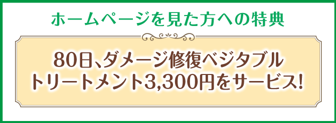 ホームページを見た方への特典 80日、ダメージ修復ベジタブルトリートメント3,300円をサービス!